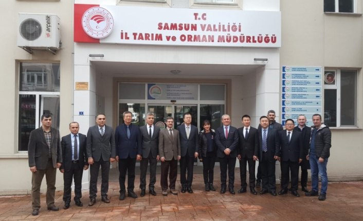 Türkiye'den Çin'e su ürünleri ihracı çalışmaları