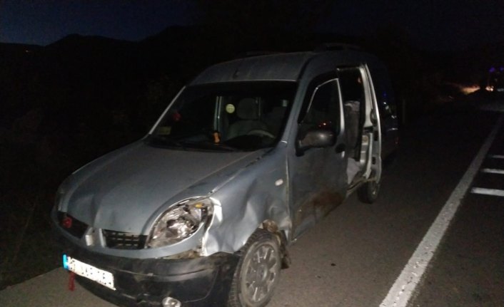 Sinop'ta hafif ticari araç koyun sürüsüne çarptı