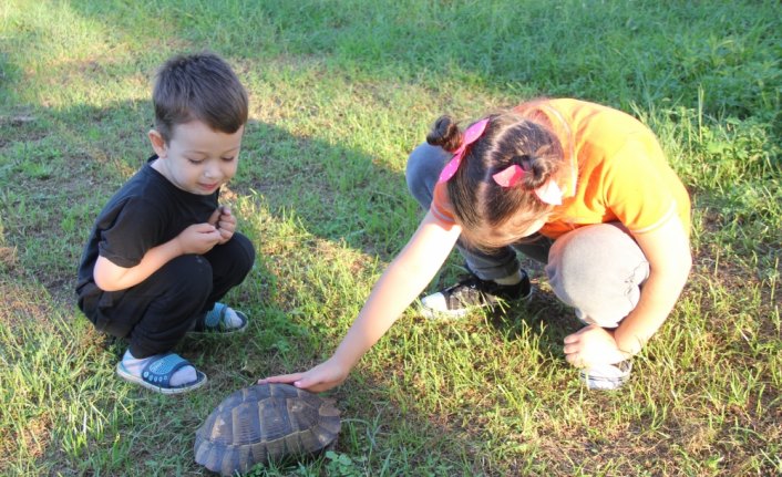 Çocukların bulduğu kara kaplumbağasını sahiplendi
