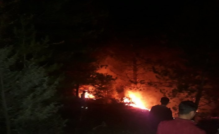 Tosya'daki orman yangınında 2 dekar alan zarar gördü