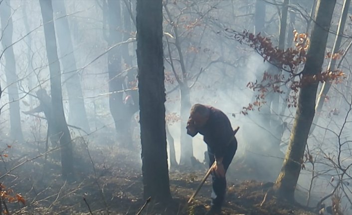 GÜNCELLEME - Düzce'de çıkan orman yangını kontrol altına alındı
