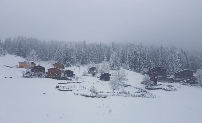 Rize'de kar yağışı nedeniyle Ovit Dağı geçidi ulaşıma kapatıldı