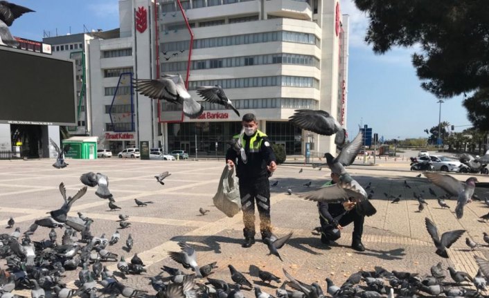 Samsun'da aç kalan kuşlara trafik polisleri yem verdi