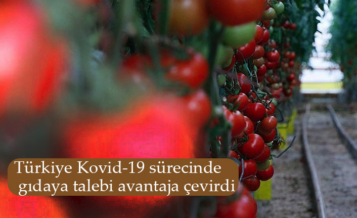 Türkiye Kovid-19 sürecinde gıdaya talebi avantaja çevirdi