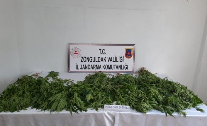 Zonguldak'ta uyuşturucu operasyonunda 1 kişi gözaltına alındı