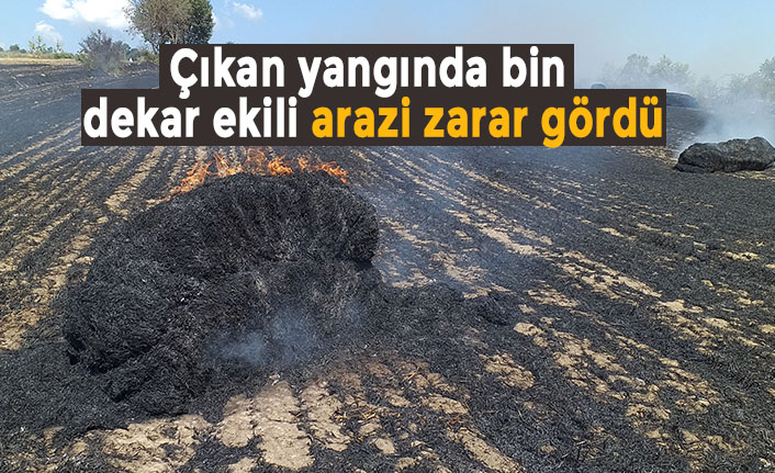 Çıkan yangında bin dekar ekili arazi zarar gördü