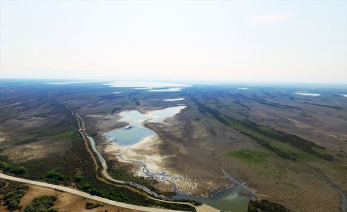 Kızılırmak Deltası'nda yağış azlığından kaynaklı kuraklık tehdidi