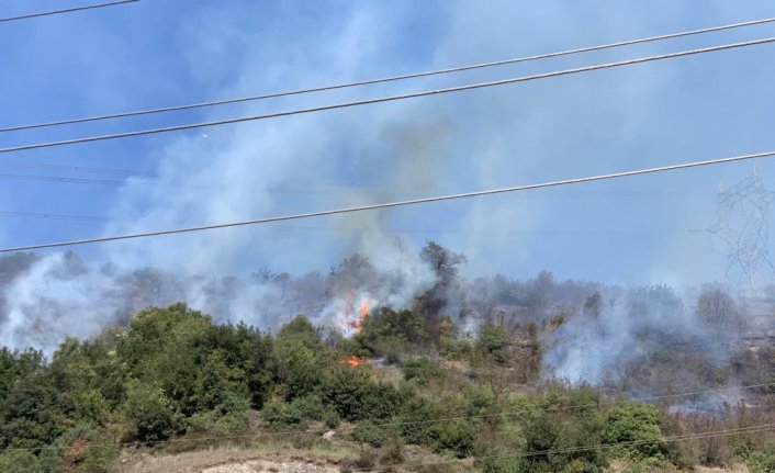 Zonguldak'ta çalılık yangını kontrol altına alındı