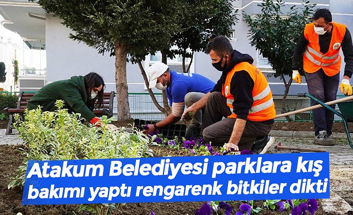 Atakum Belediyesi parklara kış bakımı yaptı rengarenk bitkiler dikti