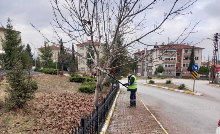 Safranbolu Belediyesi Park Bahçeler Müdürlüğü ekipleri faaliyet alanlarını artırdı