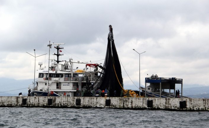 Sinop'ta balıkçılar kısmi hamsi avı yasağının sona ermesini bekliyor