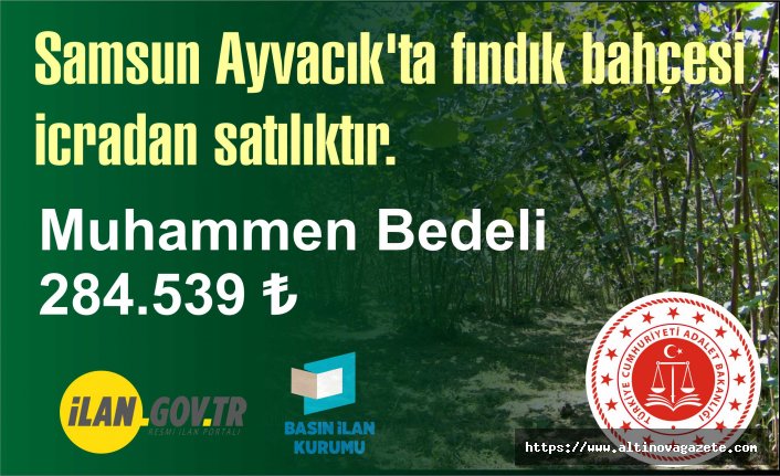 Samsun Ayvacık'ta fındık bahçesi icradan satılıktır