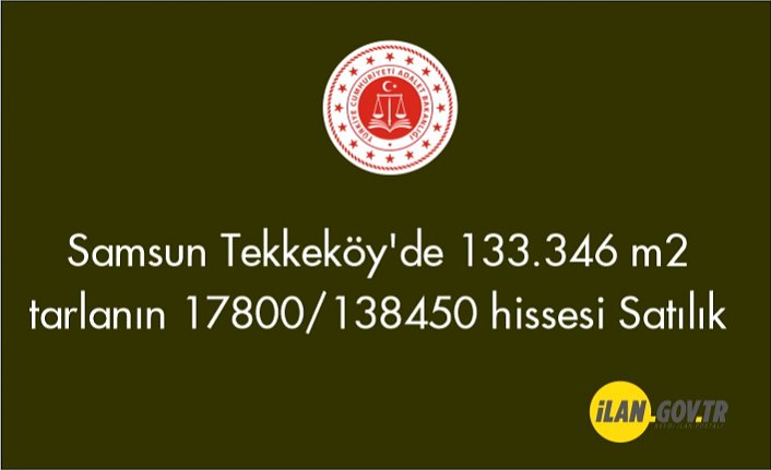 Samsun Tekkeköy'de 133.346 m2 tarlanın 17800/138450 hissesi Satılık
