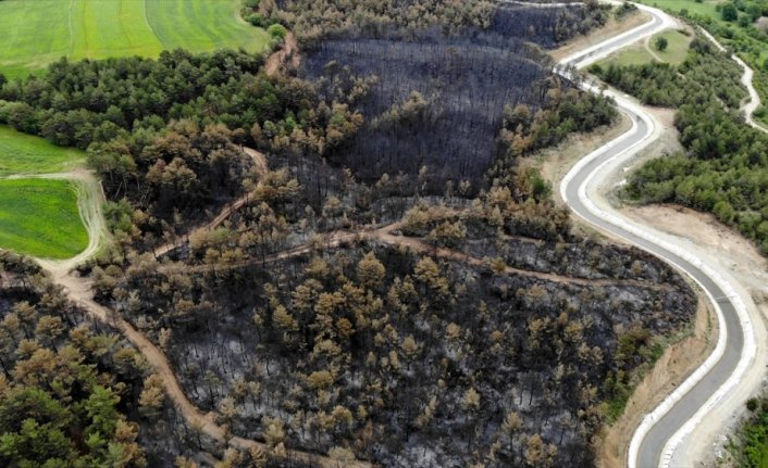 Kastamonu'daki orman yangınında 11 hektar alan zarar gördü