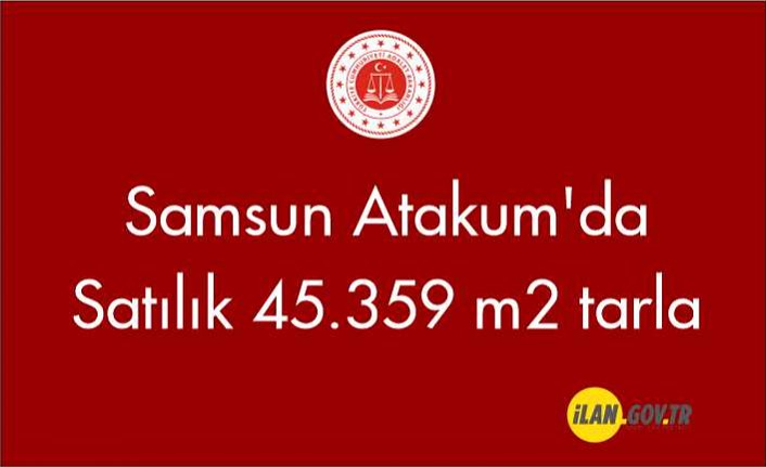 Samsun Atakum'da Satılık 45.359 m2 tarla
