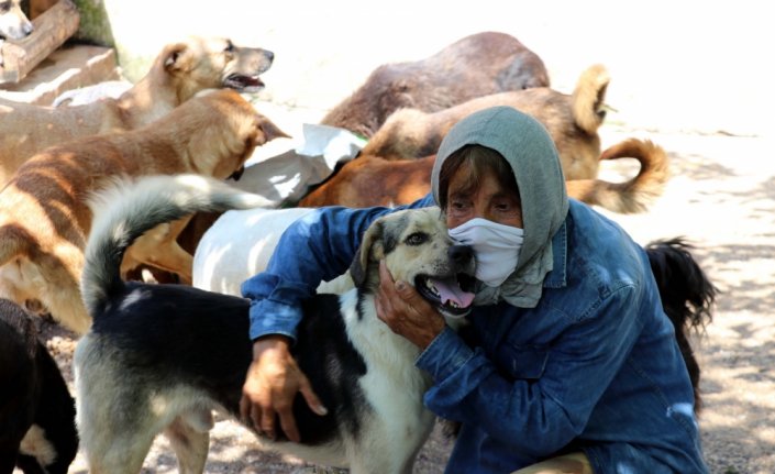 Zonguldak'ta 62 yaşındaki kadın hayatını sokak köpeklerine adadı