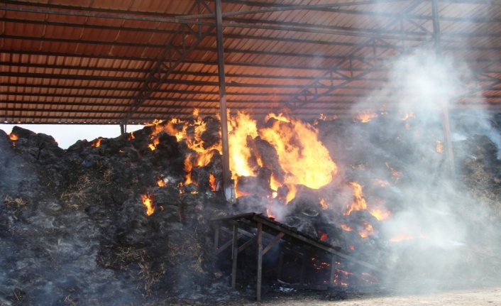 Amasya'da besi çiftliğinde çıkan yangına müdahale ediliyor