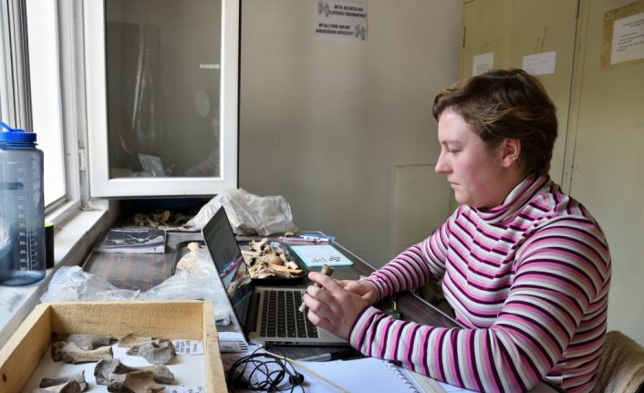 ABD'li zooarkeolog, Hattuşa'da Hititlerin hayvanlarla yaşamını araştırıyor
