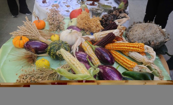 Artvin'de yerel tohumlar halk pazarında vatandaşlar buluştu