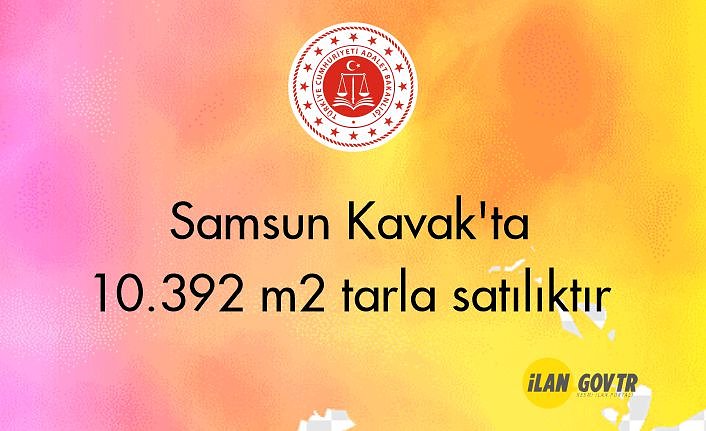Samsun Kavak'ta 10.392 m² tarla mahkemeden satılıktır