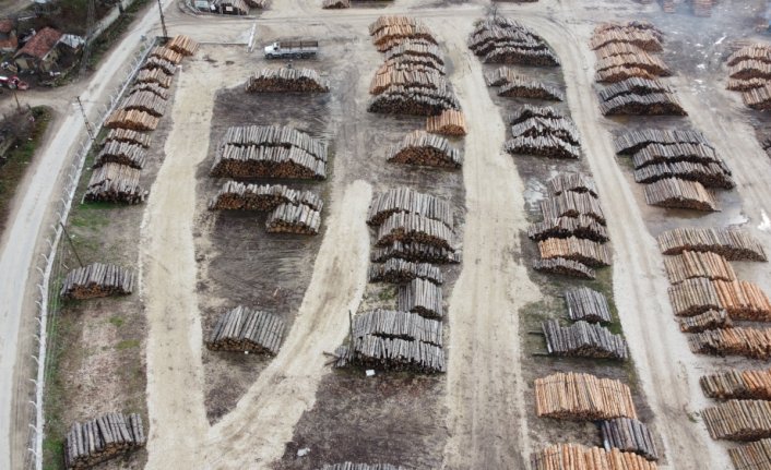 Göynük'te üretilen 2 bin 500 metreküp orman emvali e-ihale yöntemiyle satıldı
