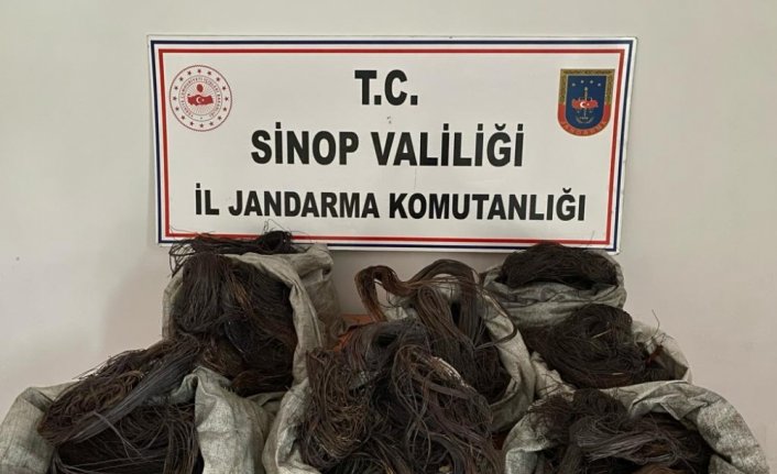 Sinop'ta kablo hırsızlığı operasyonunda 3 zanlı yakalandı