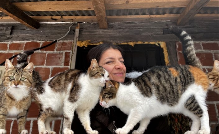 İstanbul'da sokakta bulduğu kedilere köyünde özenle bakıyor