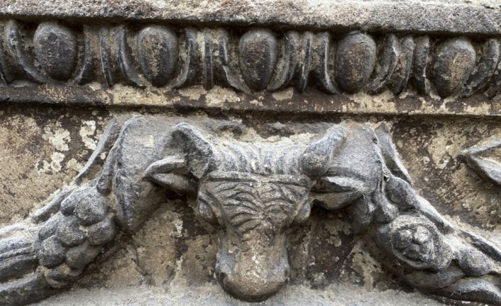 Sinop'ta 2 bin 500 yıllık boğa başı figürlü kırlent gün yüzüne çıkarıldı