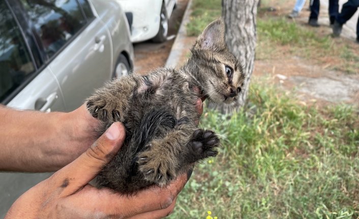Karabük'te sürücüsü il dışında olan otomobilin motoruna giren kedi yavrusu kurtarıldı