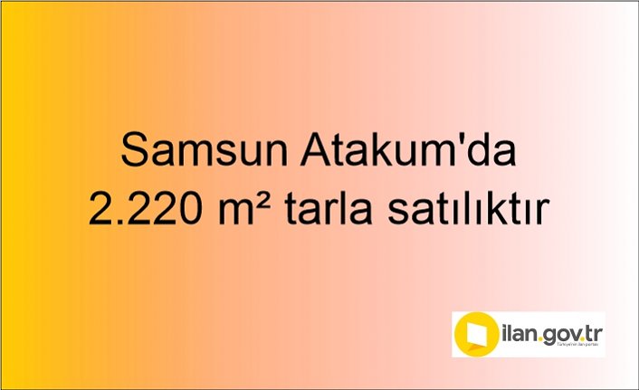 Samsun Atakum'da 2.220 m² tarla mahkemeden satılıktır