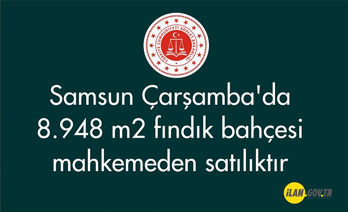 Samsun Çarşamba'da 8.948 m² fındık bahçesi mahkemeden satılıktır