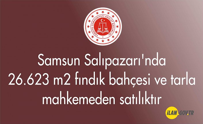 Samsun Salıpazarı'nda 26.623 m² fındık bahçesi ve tarla mahkemeden satılıktır