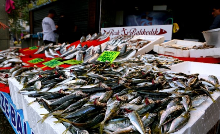 Ordu, Giresun ve Trabzon'da yeni sezonun balıkları tezgahlarda