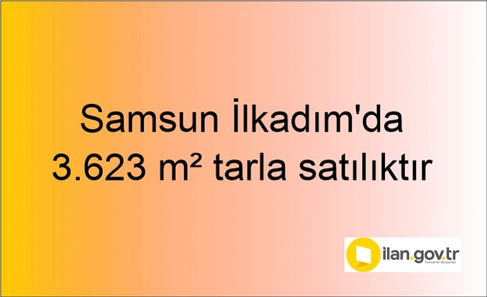 Samsun İlkadım'da 3.623 m² tarla mahkemeden satılıktır