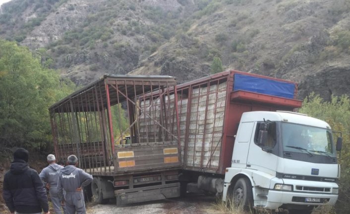 Bolu'da rampada kayan kamyondan atlayan sürücü öldü