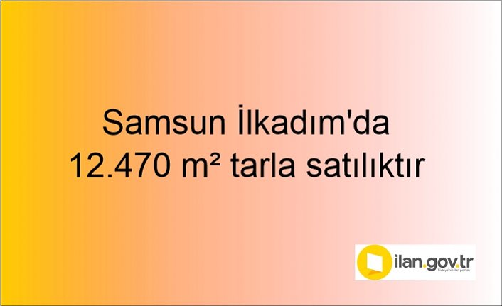 Samsun İlkadım'da 12.470 m² tarla mahkemeden satılıktır