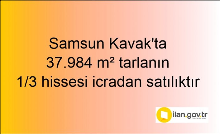 Samsun Kavak'ta 37.984 m² tarlanın 1/3 hissesi icradan satılıktır