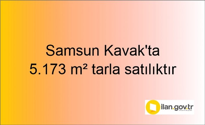 Samsun Kavak'ta 5.173 m² tarla mahkemeden satılıktır