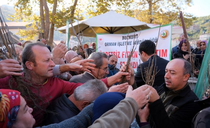 Bozkurt'ta vatandaşlara ücretsiz fidan dağıtıldı