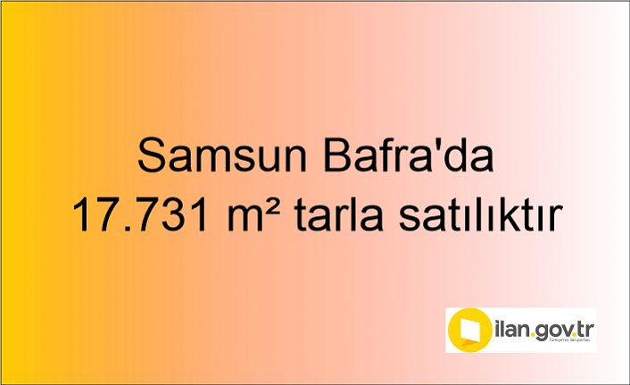 Samsun Bafra'da 17.731 m² tarlanın 1/2 hissesi icradan satılıktır