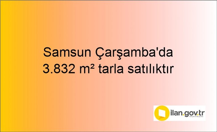 Samsun Çarşamba'da 3.832 m² tarla mahkemeden satılıktır