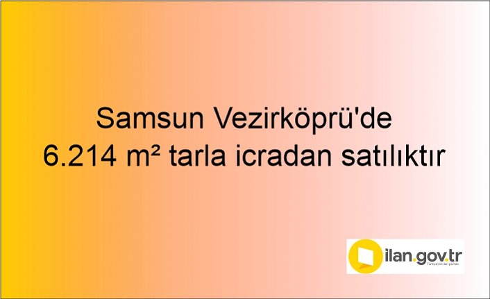 Samsun Vezirköprü'de 6.214 m² tarla icradan satılıktır