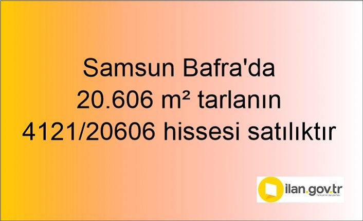 Samsun Bafra'da 20.606 m² tarlanın 4121/20606 hissesi icradan satılıktır