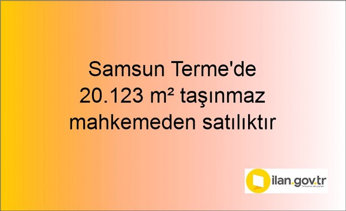 Samsun Terme'de 20.123 m² taşınmaz mahkemeden satılıktır