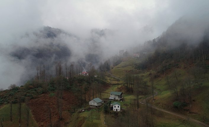 Trabzon'un “Hıdırnebi Yaylası“ sis altındaki güzelliğiyle ziyaretçilerini karşılıyor