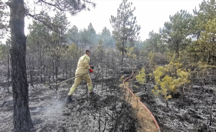 Kastamonu'da ormanlık alanda çıkan yangın söndürüldü