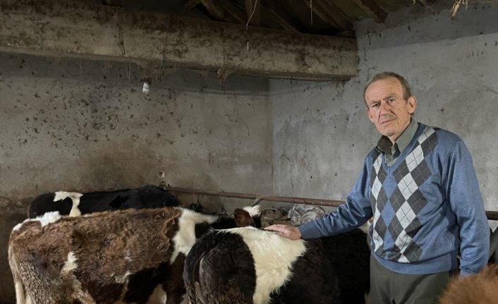 Zonguldak'ta emekli maden işçisi bir inekle başladığı hayvancılıkta tesis kurdu