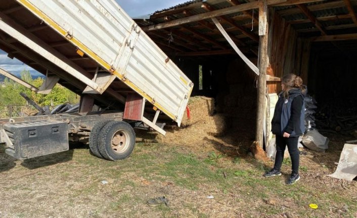 Karabük'te yangınlarda zarar gören çiftçilere saman desteği