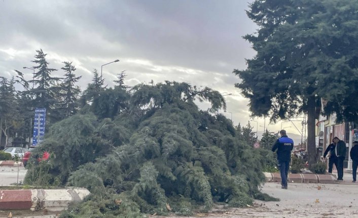 Amasya'da etkili olan şiddetli rüzgar yaşamı olumsuz etkiledi