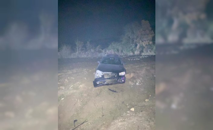 Bolu'da domuza çarpan otomobilin sürücüsü yaralandı